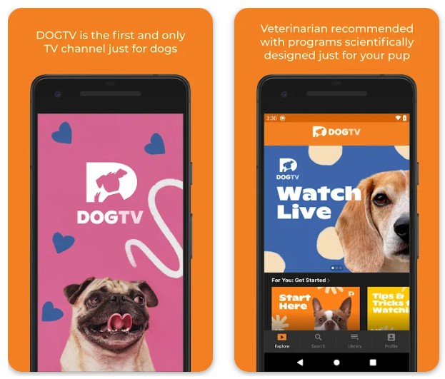 DOGTV: Television for dogs1