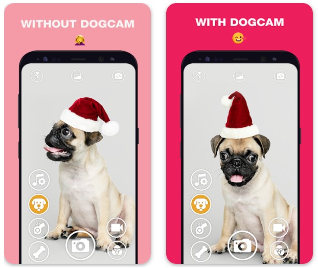 DogCam - Dog Selfie Filters an1