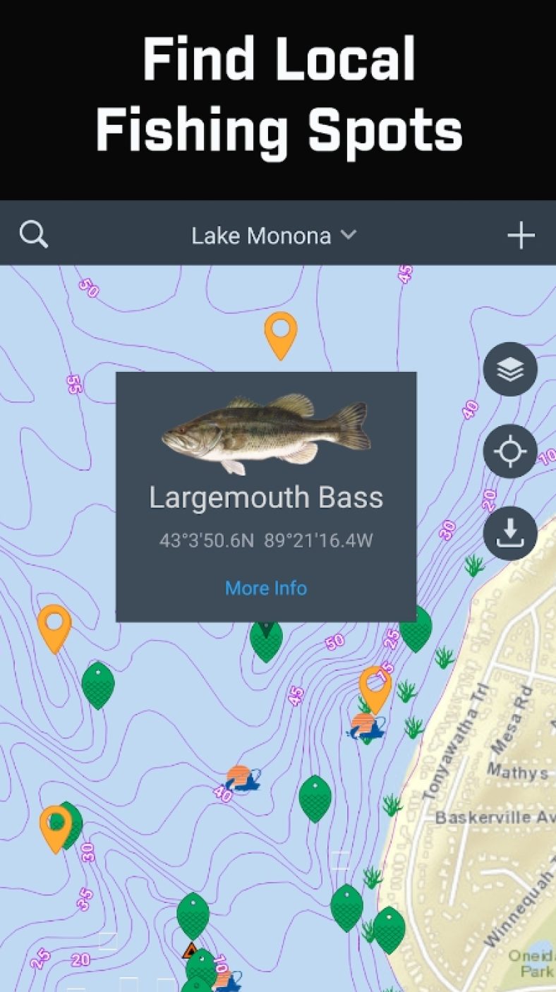 10 Best Fish Identification Apps for Android & iOS | Freeappsforme ...