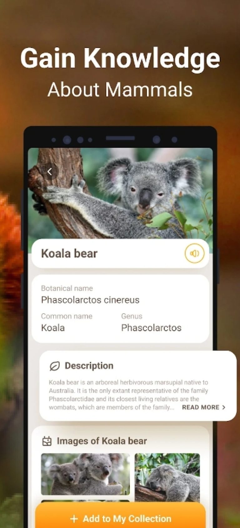 7 Best Animal Identification Apps for Android & iOS Freeappsforme