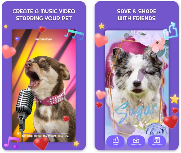 PetStar: My Pet Sings & Dances1