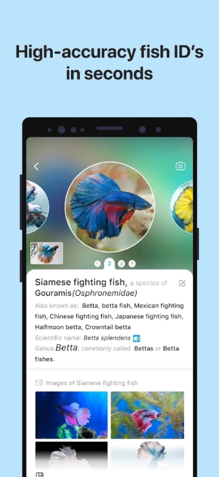 10 Best Fish Identification Apps for Android & iOS | Freeappsforme ...