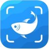 10 Best Fish Identification Apps for Android & iOS | Freeappsforme ...