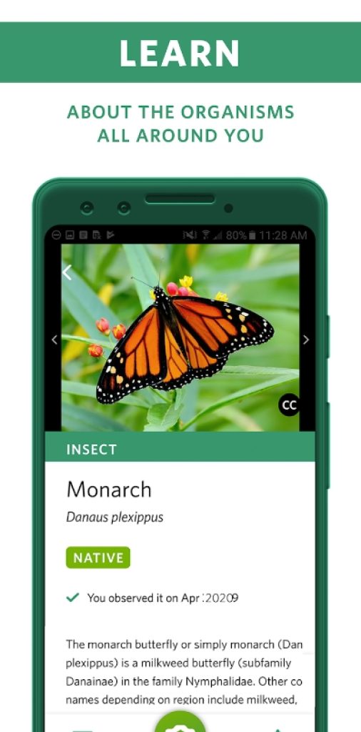 7 Best Animal Identification Apps for Android & iOS Freeappsforme