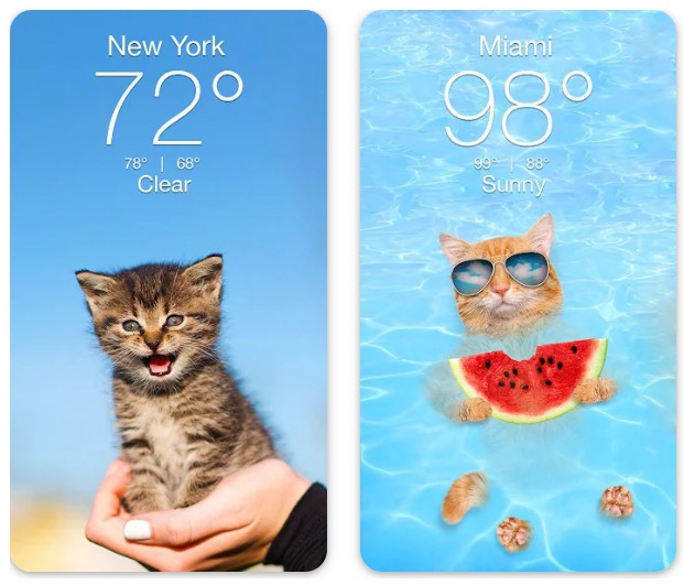 Weather Kitty - App & Widget1