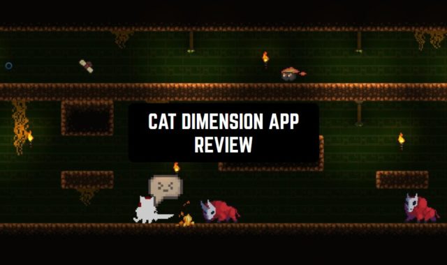 Cat Dimension Game Review