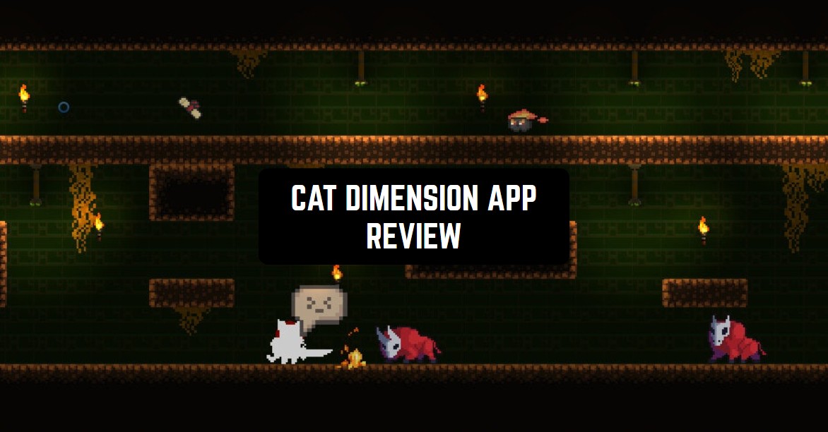 Cat Dimension Game Review | Freeappsforme - Free apps for Android and iOS