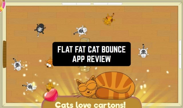 Flat Fat Cat Bounce App Review