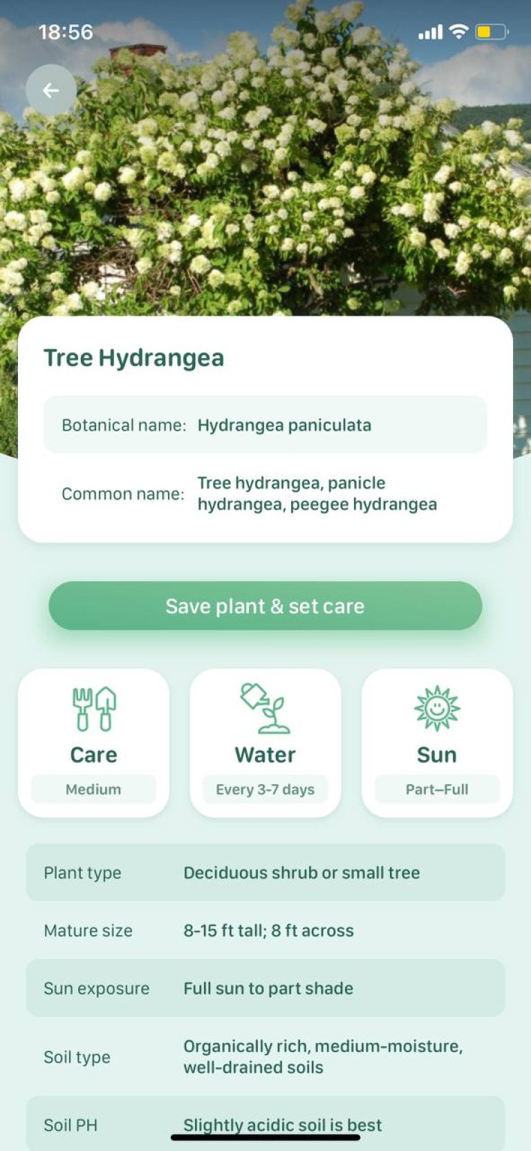 8 Free Tree Identification Apps For Android IOS Freeappsforme   Blossom 1 1 768x1663 