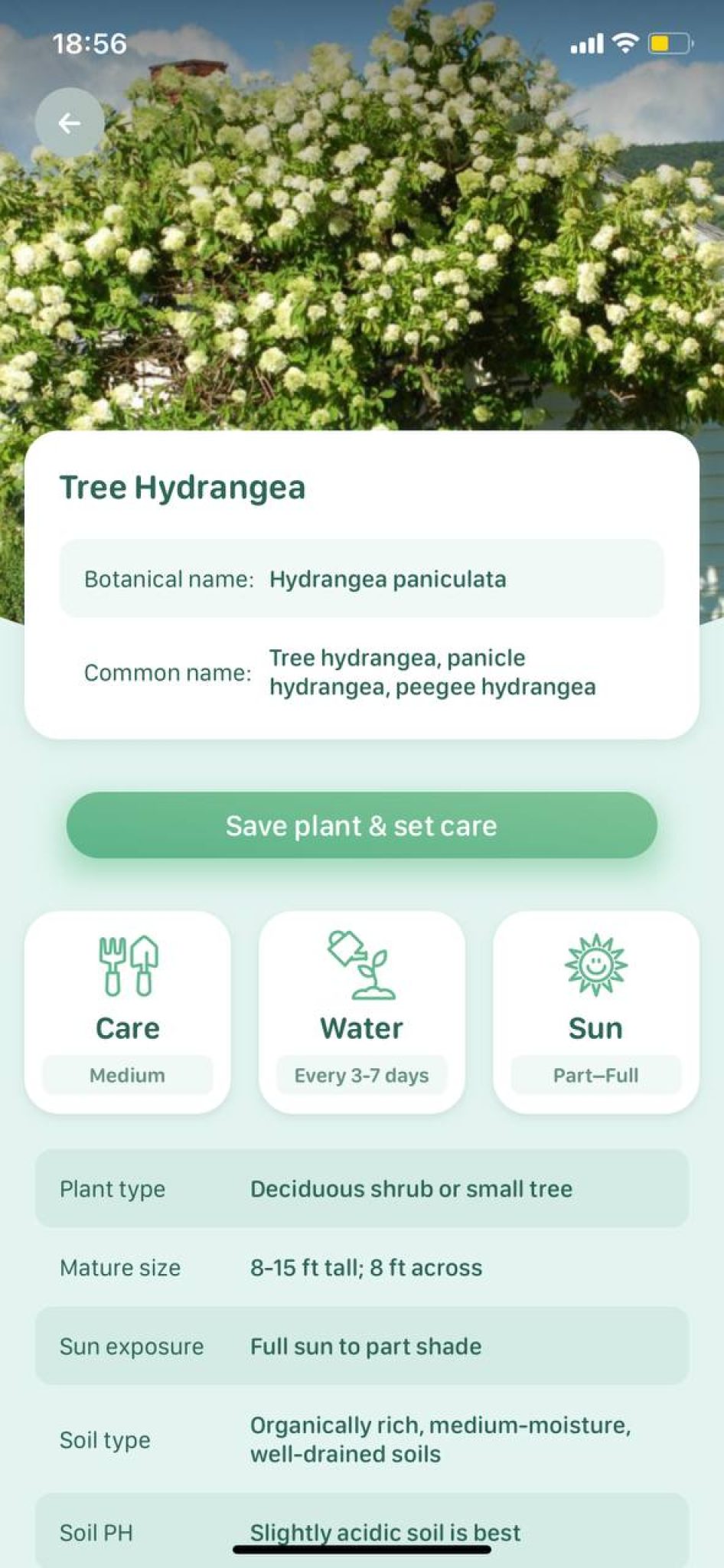8 Free Tree Identification Apps for Android & iOS Freeappsforme