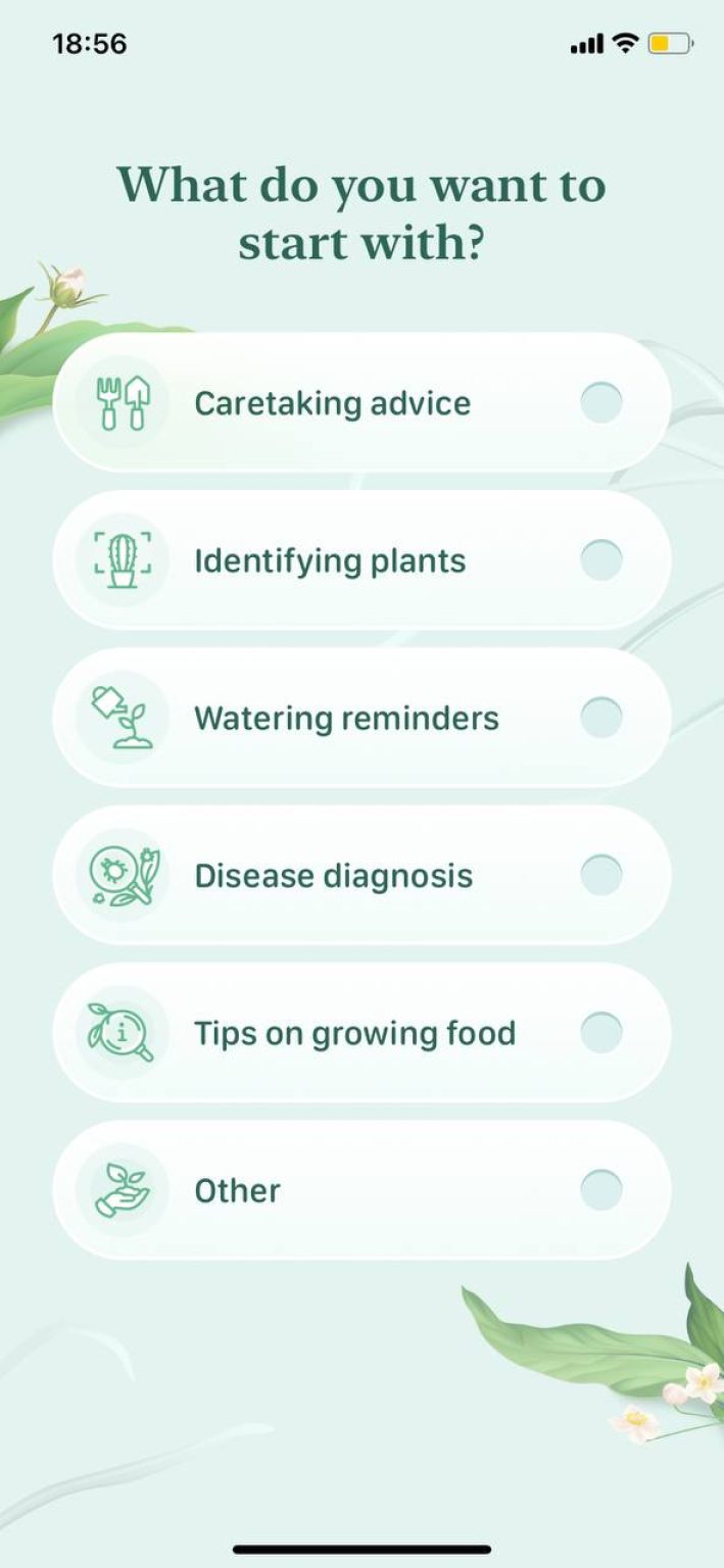 8 Free Tree Identification Apps for Android & iOS Freeappsforme