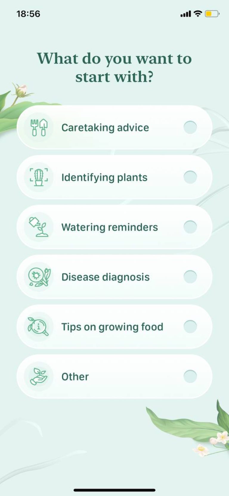 8 Free Tree Identification Apps for Android & iOS Freeappsforme