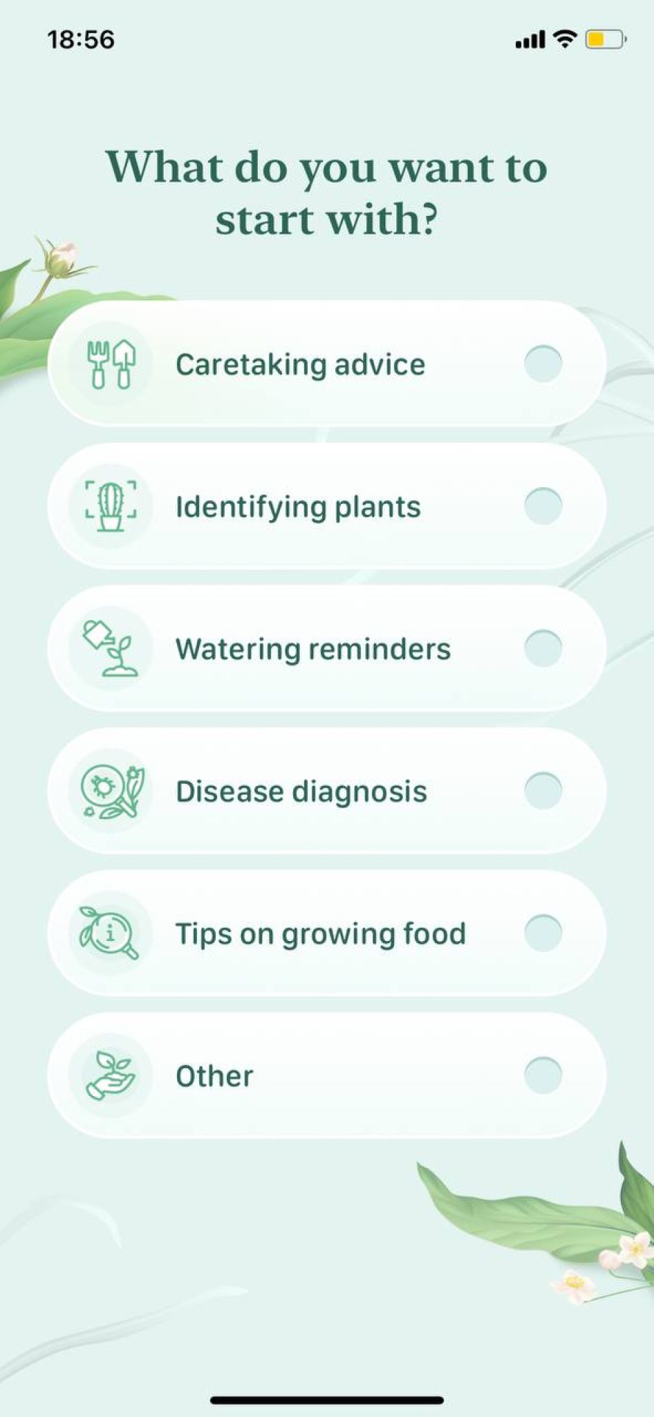 8 Free Tree Identification Apps for Android & iOS Freeappsforme