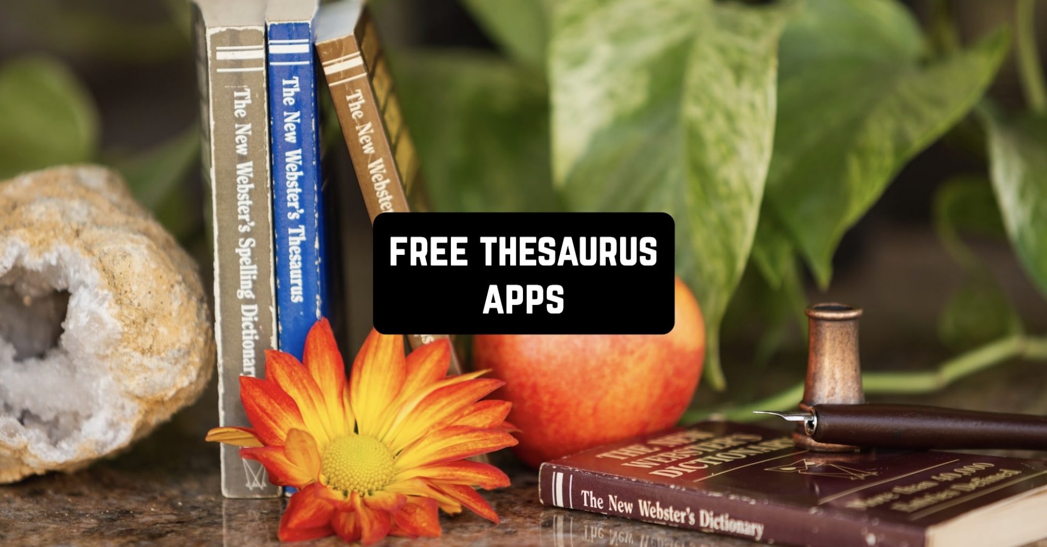 11 Free Thesaurus Apps for Android & iOS Freeappsforme Free apps