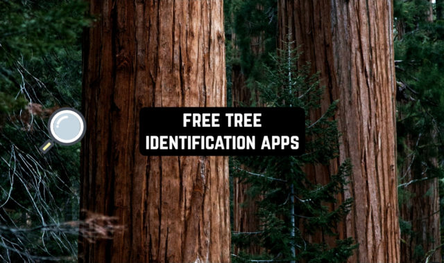 8 Free Tree Identification Apps for Android & iOS