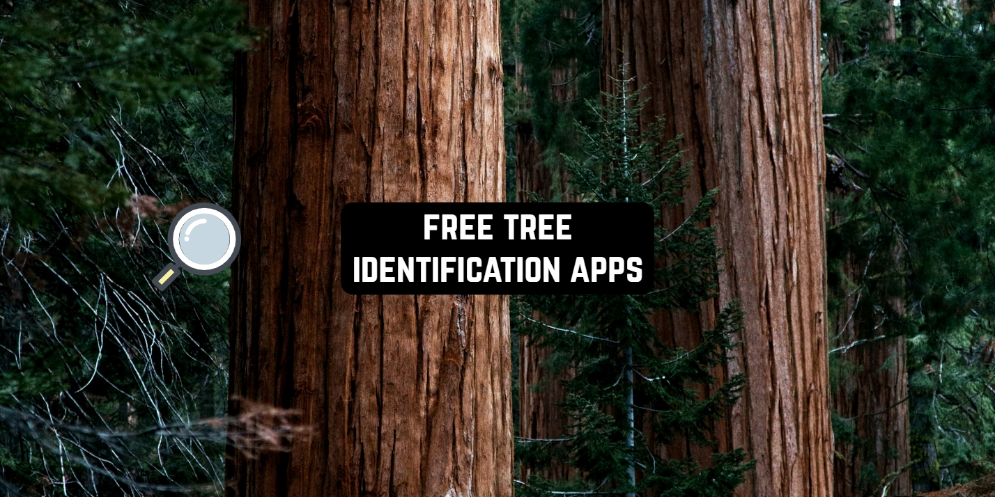 8 Free Tree Identification Apps for Android & iOS Freeappsforme