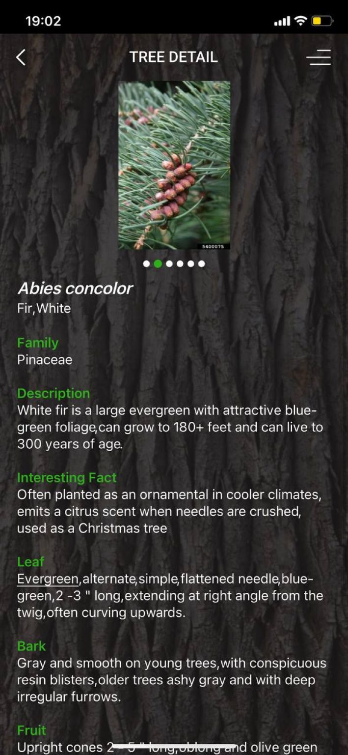 8 Free Tree Identification Apps for Android & iOS Freeappsforme