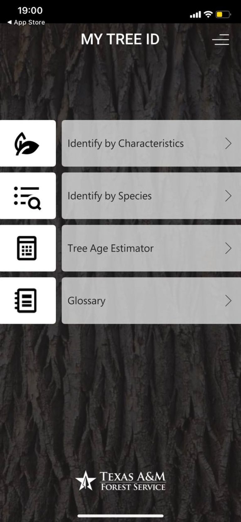 8 Free Tree Identification Apps for Android & iOS Freeappsforme