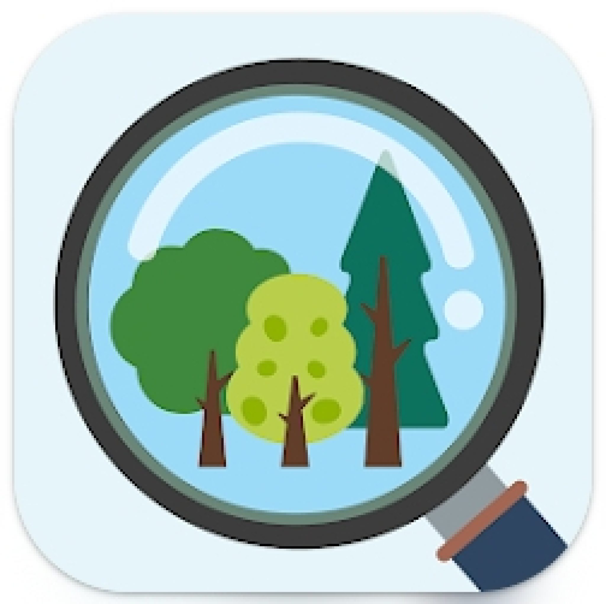 8 Free Tree Identification Apps for Android & iOS Freeappsforme