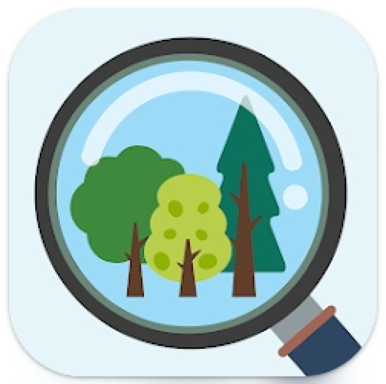 8 Free Tree Identification Apps for Android & iOS Freeappsforme