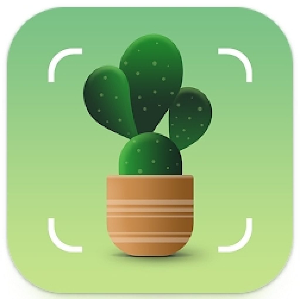 8 Free Tree Identification Apps for Android & iOS Freeappsforme