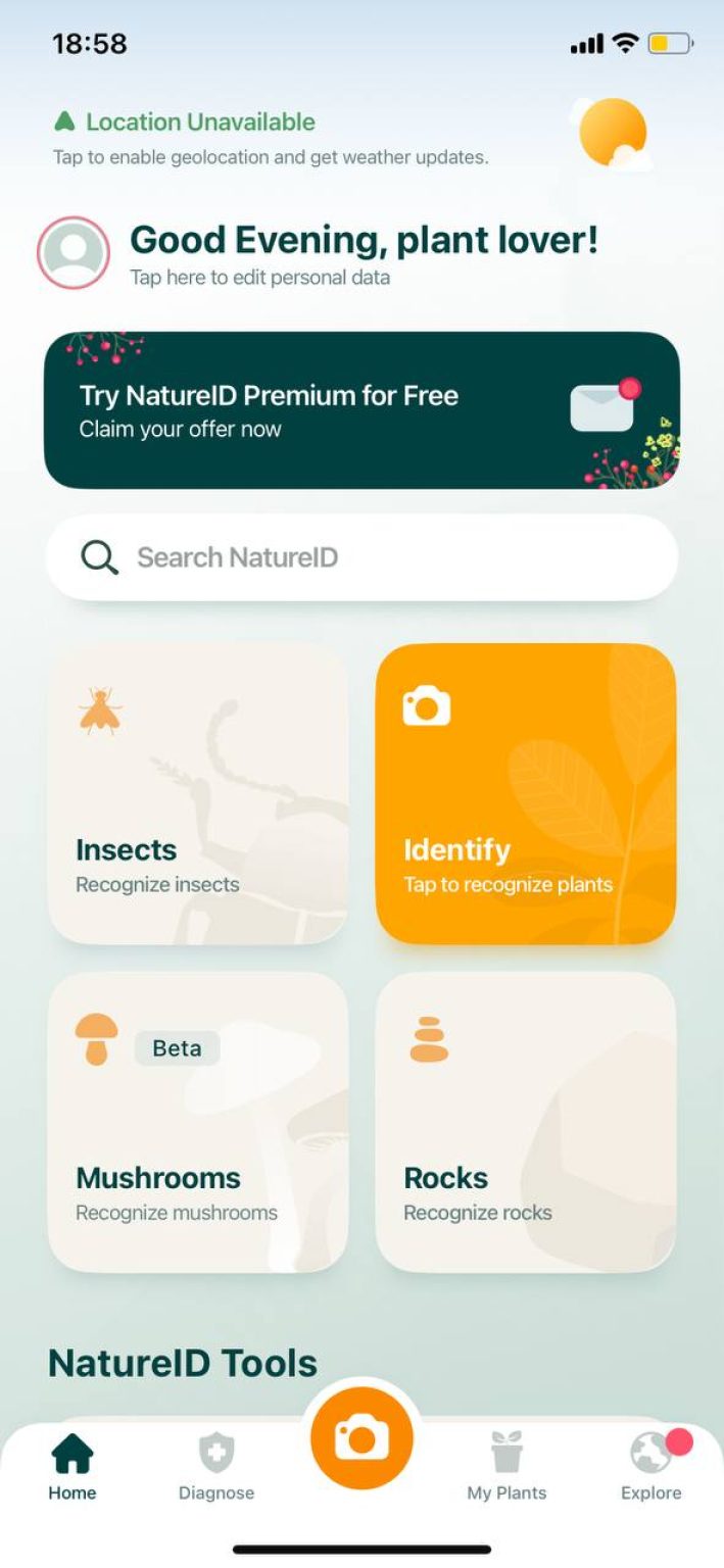 8 Free Tree Identification Apps For Android IOS Freeappsforme   NatureID 2 709x1536 