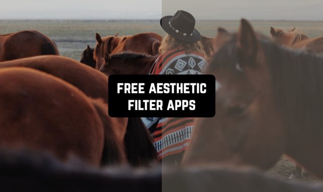 11 Free Aesthetic Filter Apps for Android & iOS