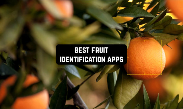 8 Best Fruit Identification Apps for Android & iOS