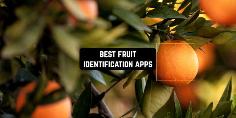 Best Fruit Identification Apps