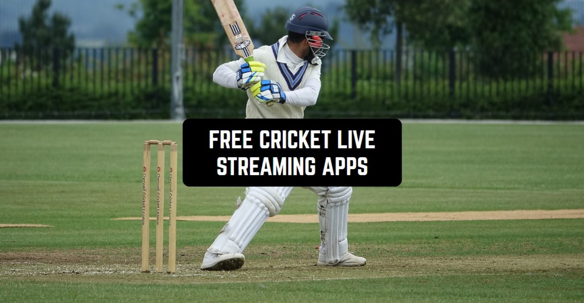 live cricket streaming application