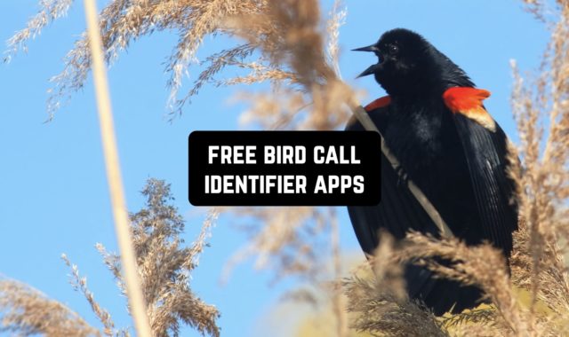 11 Free Bird Call Identifier Apps for Android & iOS
