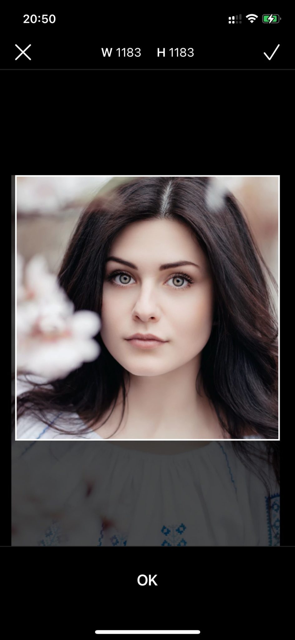 7 Free Pixar Filter Apps for Android & iOS Freeappsforme Free apps