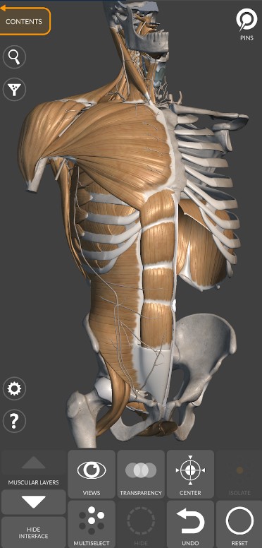 3D Anatomy for the Artist
1