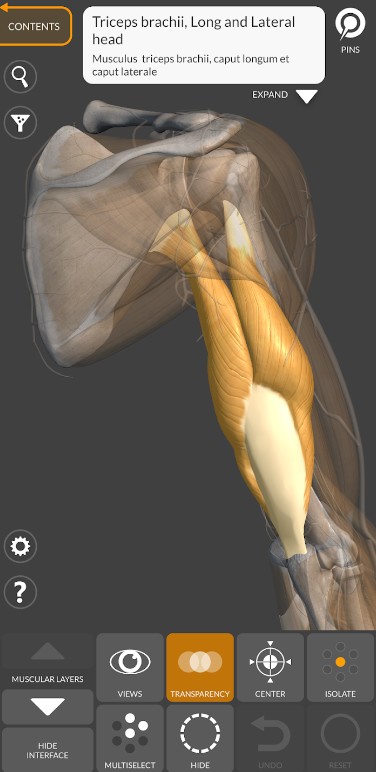 3D Anatomy for the Artist
2