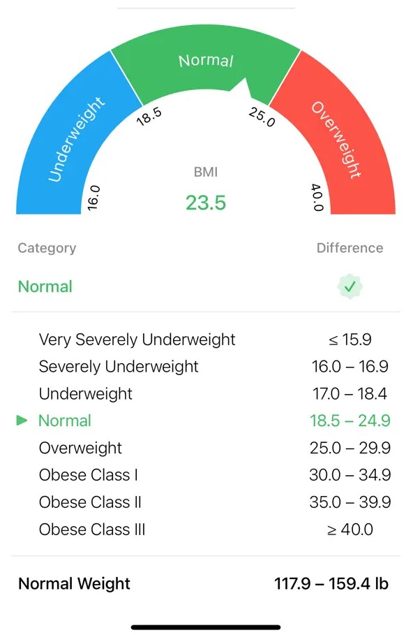BMI Calculator – Weight Loss1