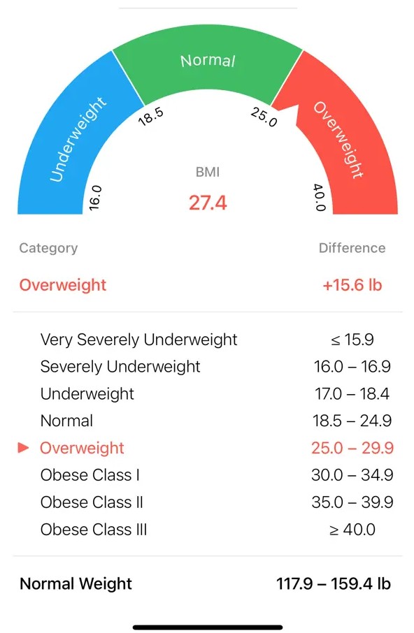 BMI Calculator – Weight Loss2