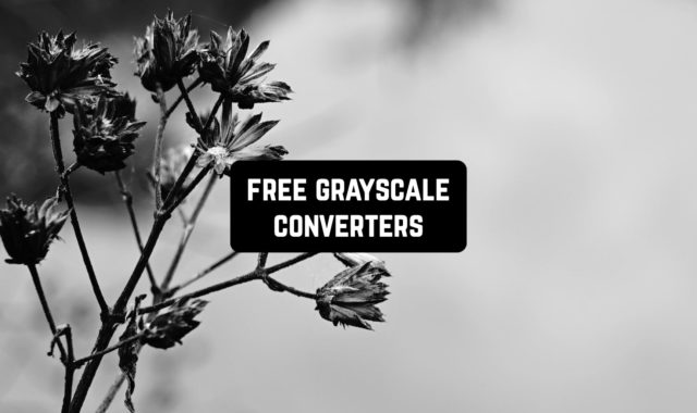 11 Free Grayscale Converters (Apps & Websites)