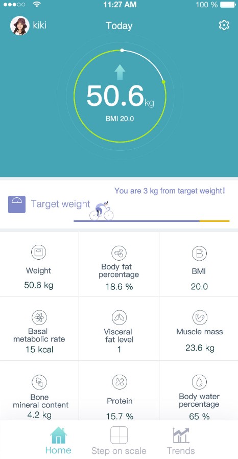Huawei Body Fat Scale
2