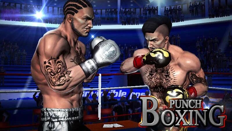 Punch Boxing 3D
1