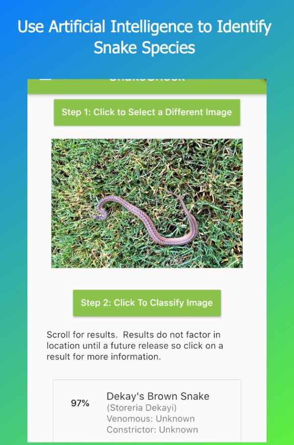 SnakeCheck Snake Identificatio
1