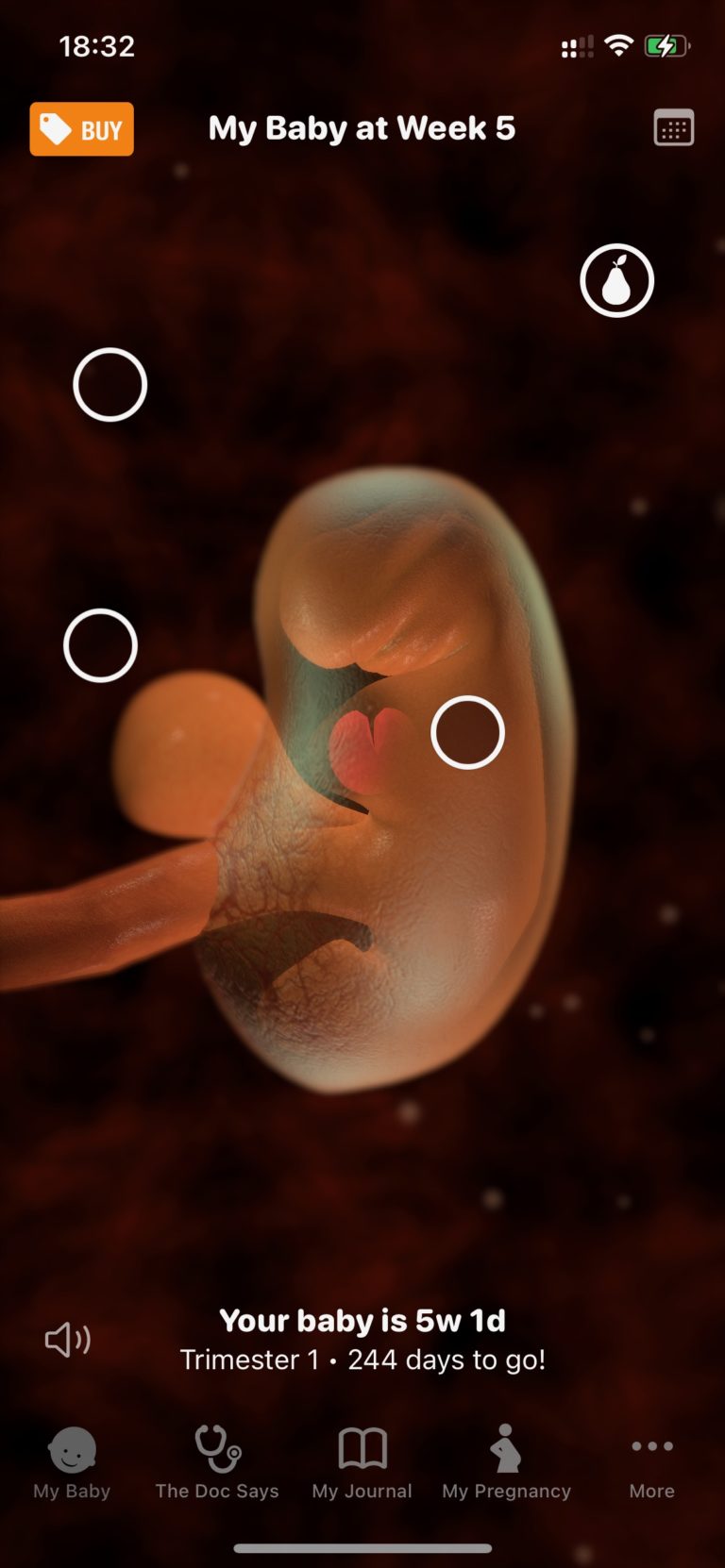 11 Free Pregnancy Weight Gain Calculators Freeappsforme Free apps