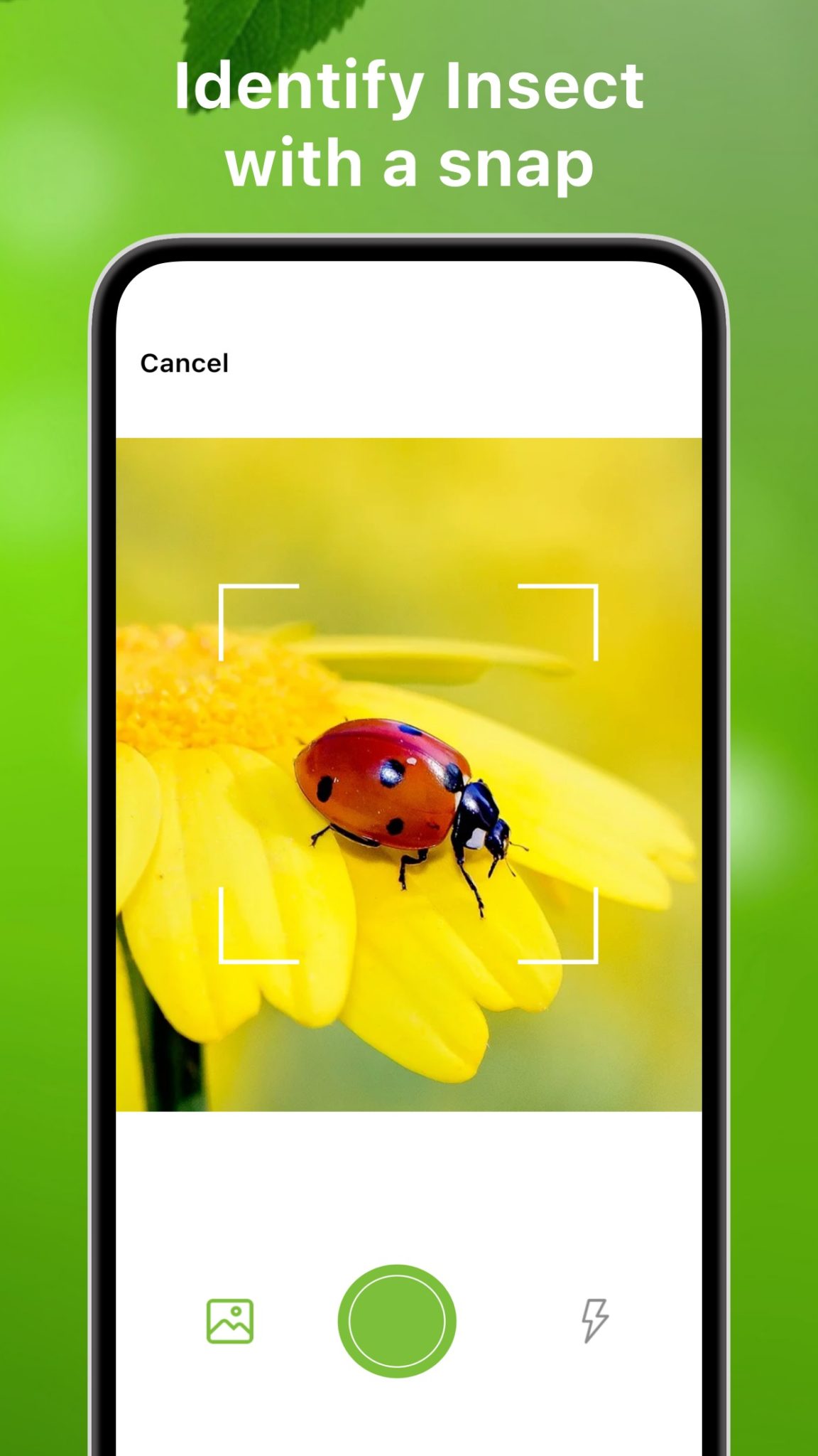 7 Best Spider Identification Apps for Android & iOS Freeappsforme