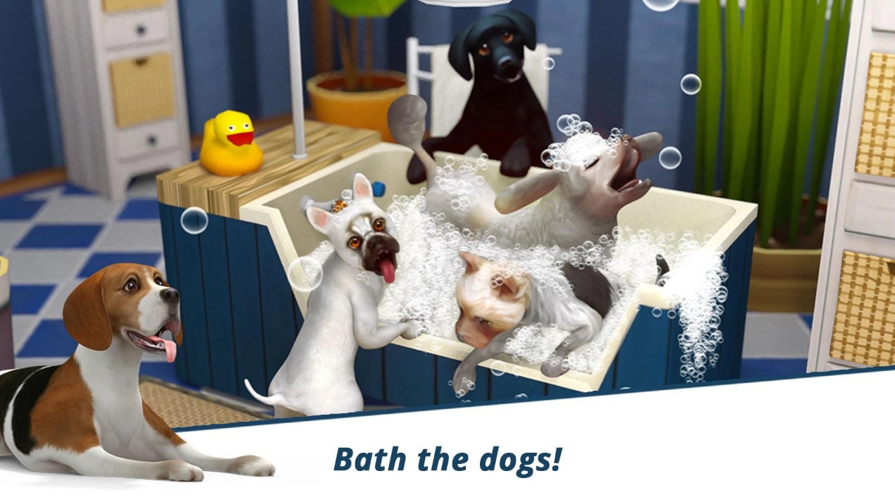 Dog Hotel – Play with dogs
1