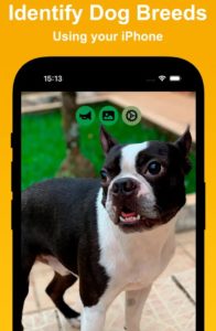 best dog scanner online free