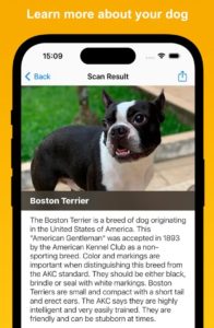 dog scanner online free no sign up