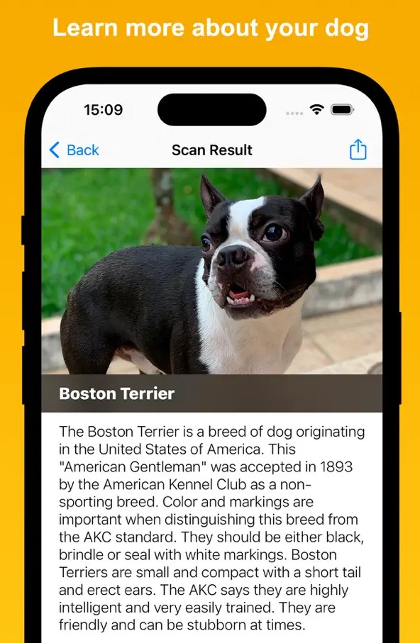Dog Scan - Breed Identifier2