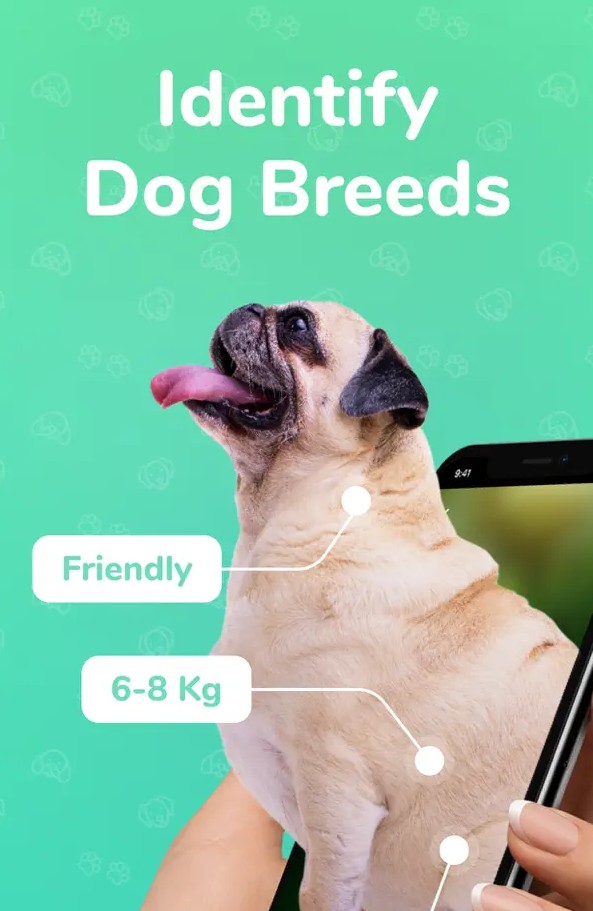 Dog Scanner - Breed Identifier1