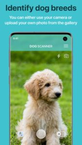 dog scanner online