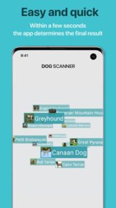online dog scanner