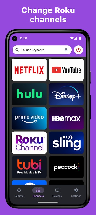 Roku TV Remote Control: RoByte2